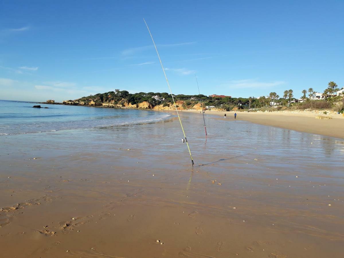 Sonia - Pateo Da Aldeia Apartman Albufeira Kültér fotó